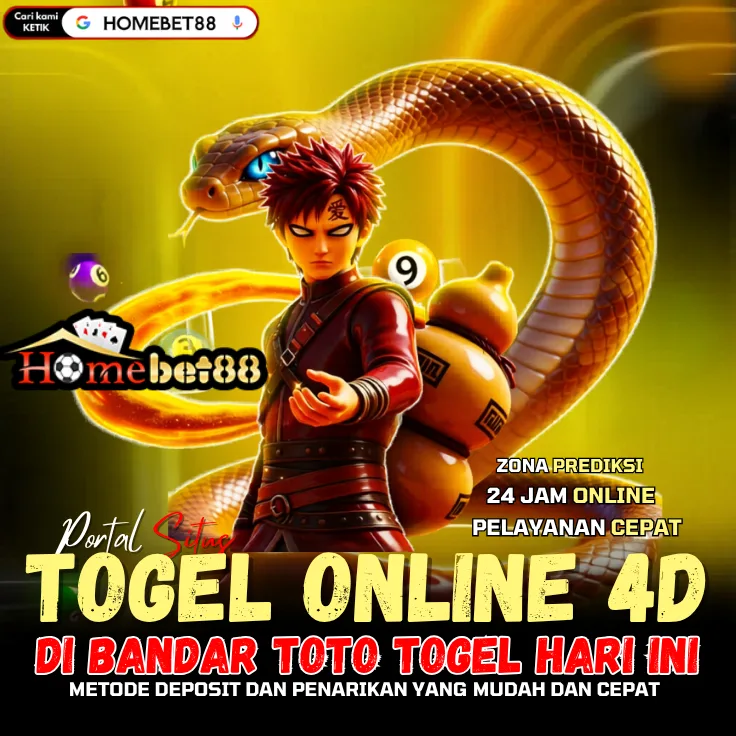DINGDONGTOGEL310JPX